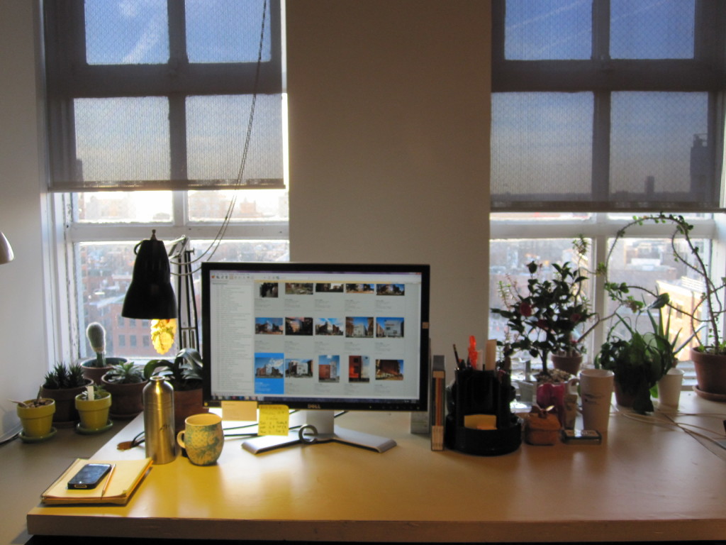 plant on my desk