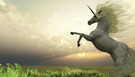 India Has 24 Unicorns, Another 52 in The Pipeline: NASSCOM Report India Has 24 Unicorns, Another 52 in The Pipeline: NASSCOM Report