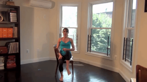 seated leg extention
