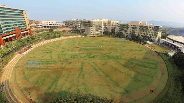 Cricket-Stadium