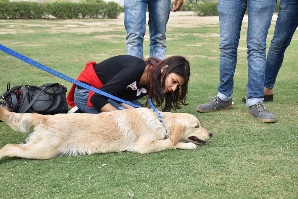 pet therapy session at corporates delhi