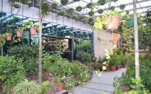 Nature Meets Luxe At The Gurgaon Office Of Navrasa Duende Nature Meets Luxe At The Gurgaon Office Of Navrasa Duende