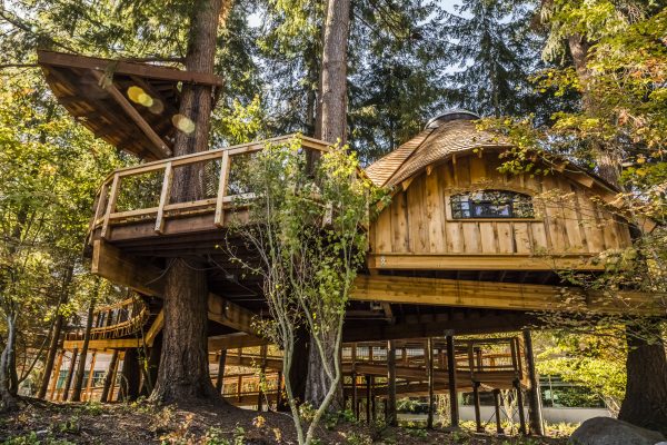 microsoft treehouse