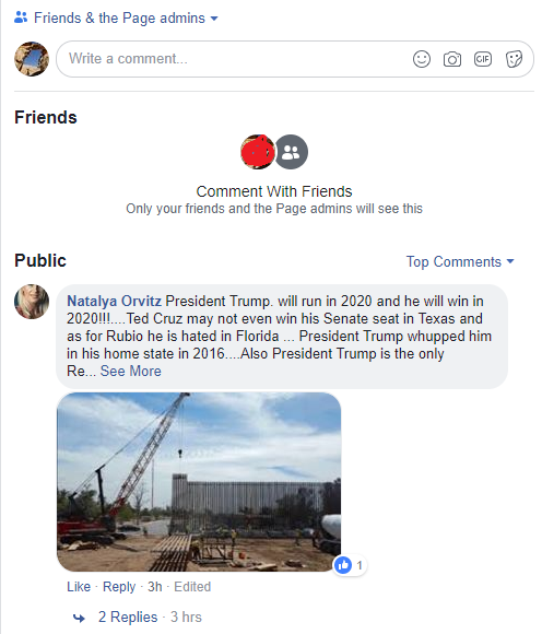 facebook friends and page admins comment 2