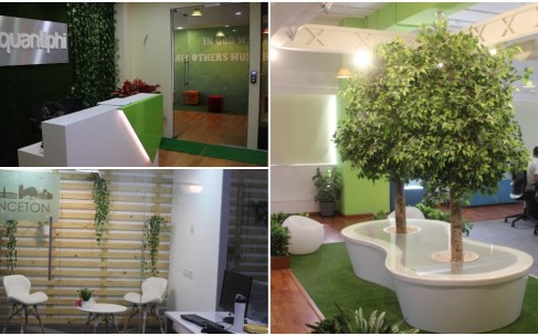 Inside Quantiphi’s Lush Green, Nature-Themed Office In Mumbai Inside Quantiphi’s Lush Green, Nature-Themed Office In Mumbai