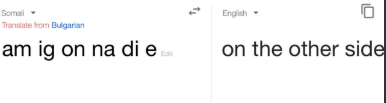 google translate glitches