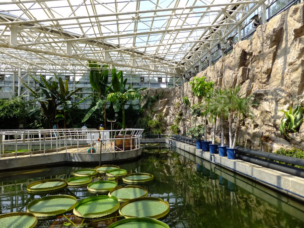  Amazon  Is Building These Huge Greenhouse  Spheres To Inspire Its Employees