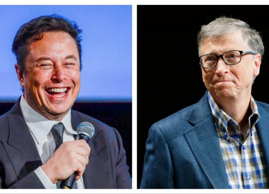 elon musk macrohard