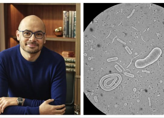 demis hassabis nano banana google