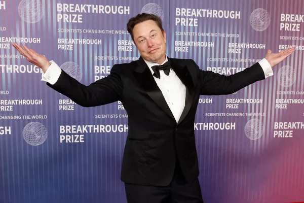 best businessman elon musk