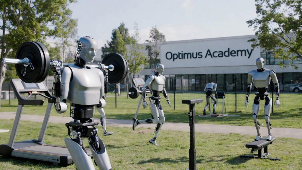 optimus academy