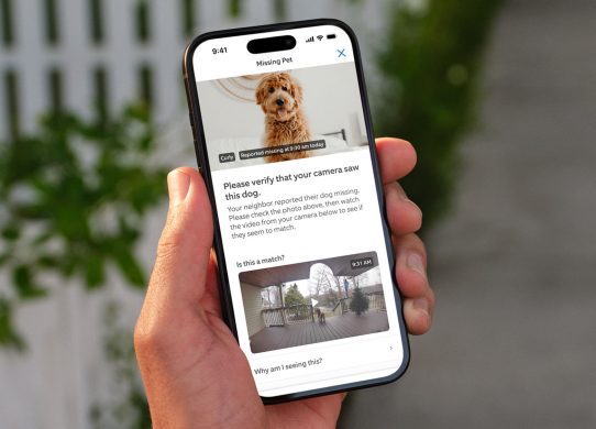 amazon ring lost dogs