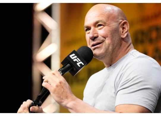 dana white