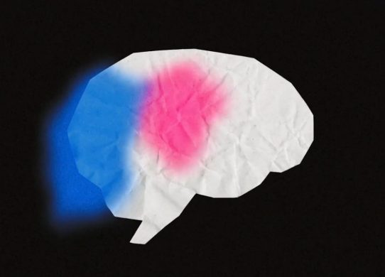 anthropic model emotions