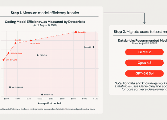 databricks model efficiency