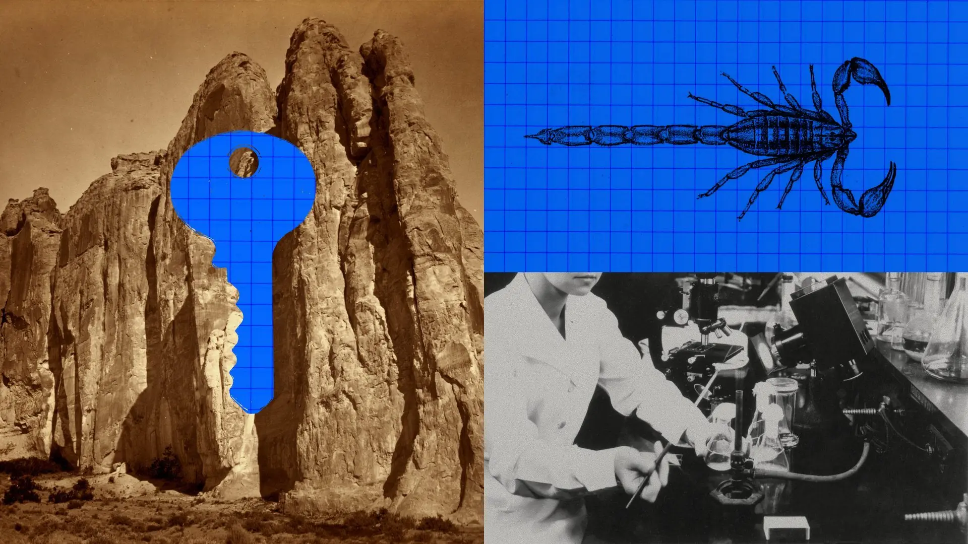 Anthropic's Claude Designed 17 Working Protein Binders Against Scorpion ...